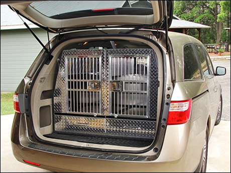 vehicle dog crates