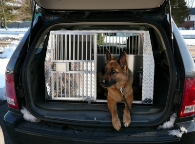 vehicle dog crates